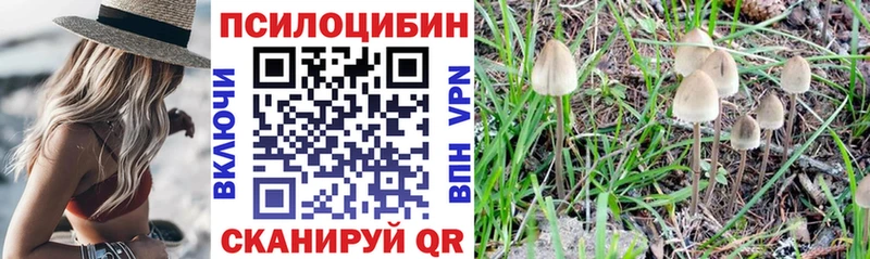 Псилоцибиновые грибы мухоморы сайты даркнета состав Пионерский где найти